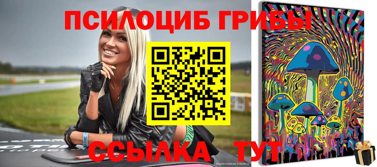 Галлюциногенные грибы ЛСД  Вход с VPN  Псилоцибиновые грибы мицелий  Тайшет 